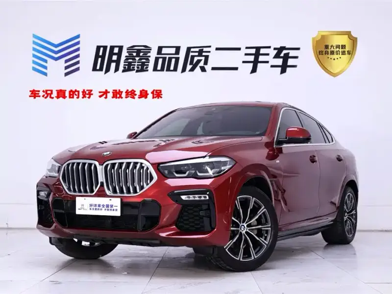 BMW X6, 2020