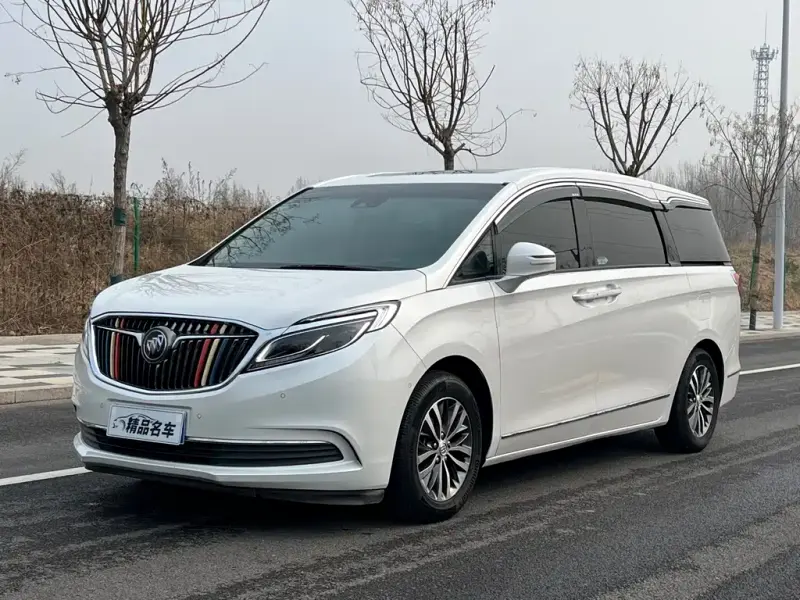 Buick GL8, 2019