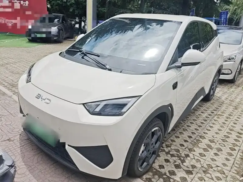 BYD Seagull, 2026