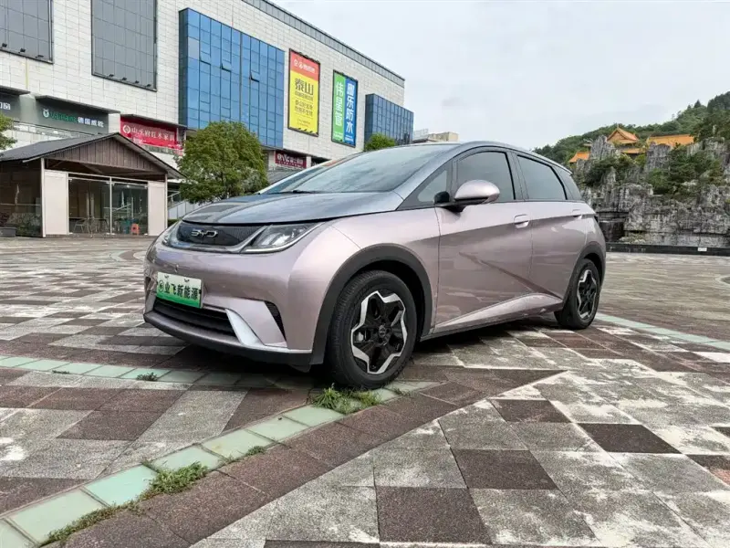 BYD Dolphin, 2022