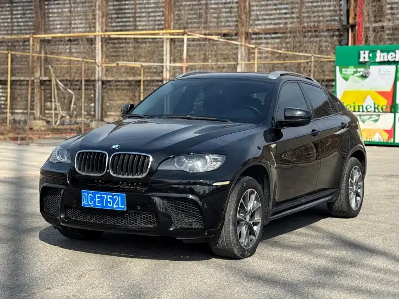 BMW X6, 2010