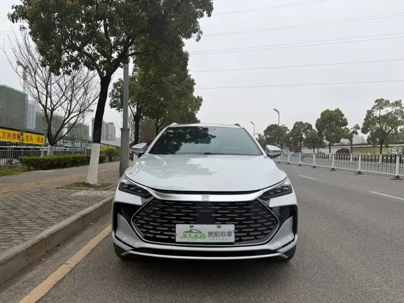 BYD Tang New Energy, 2024