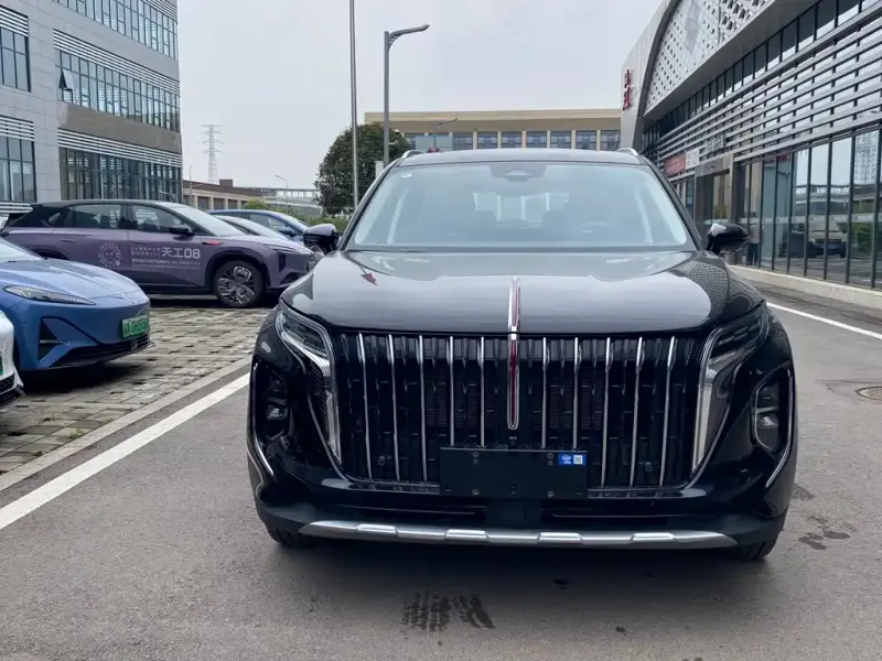 Hongqi HS7 PHEV, 2024