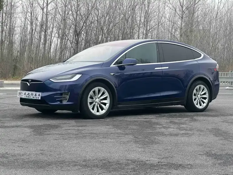 Tesla Model X, 2019