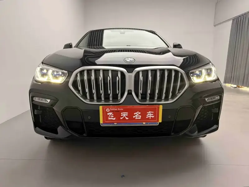 BMW X6, 2021