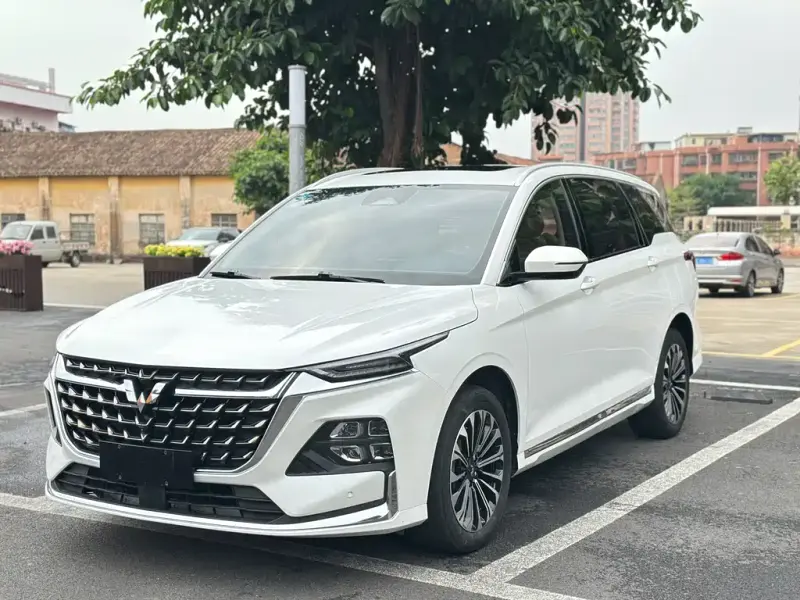 Wuling Victory, 2023
