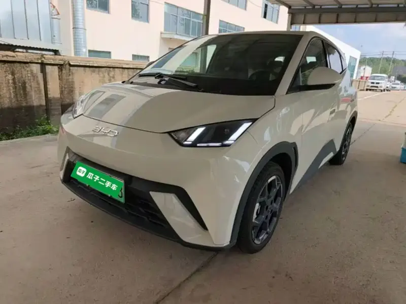 BYD Seagull, 2025
