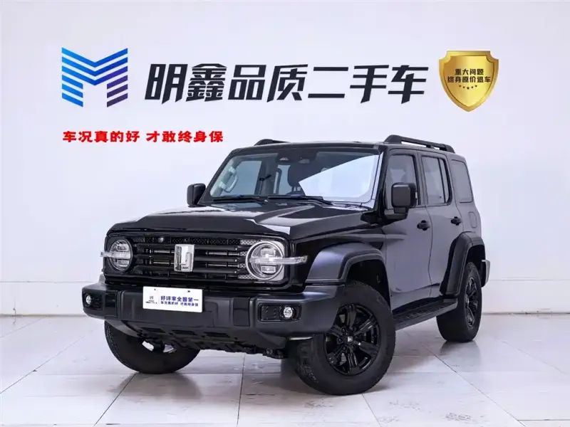 Tank 300, 2021