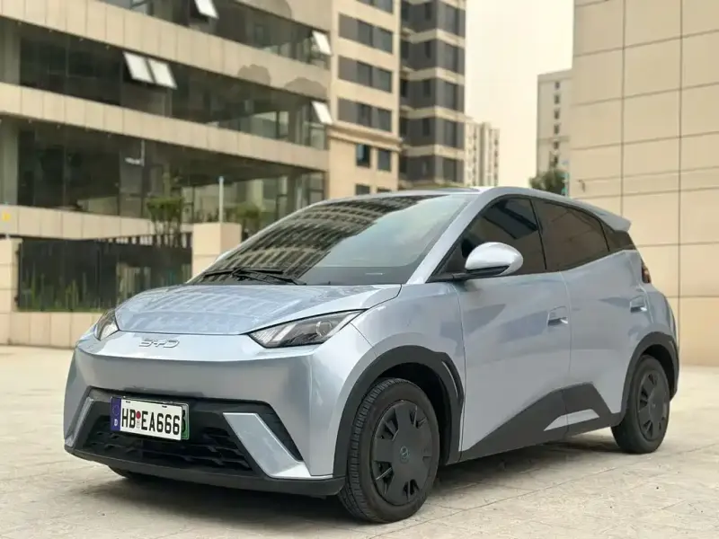 BYD Seagull, 2024