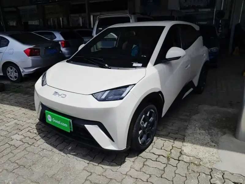BYD Seagull, 2025