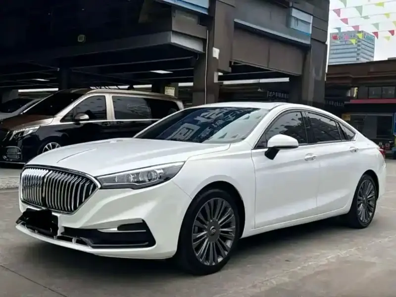 Hongqi H5, 2020
