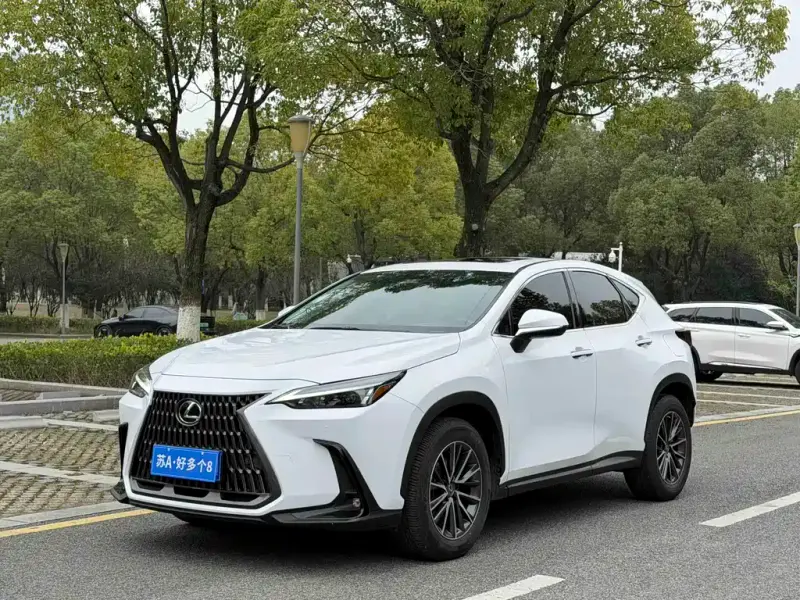 Lexus NX, 2022