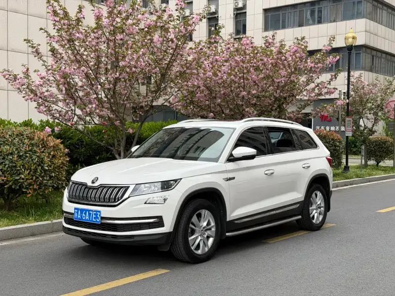 Skoda Kodiaq, 2018