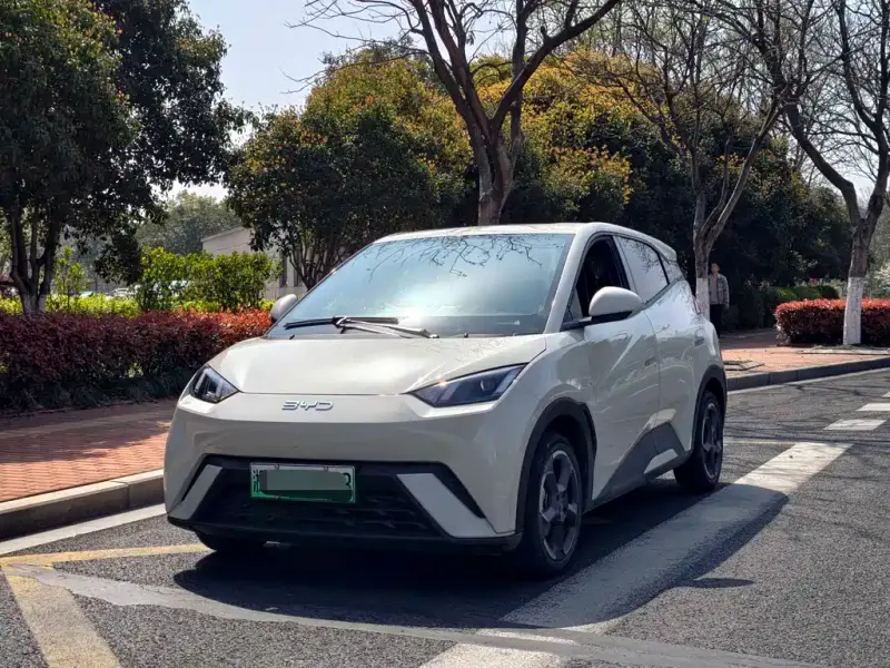 BYD Seagull, 2024