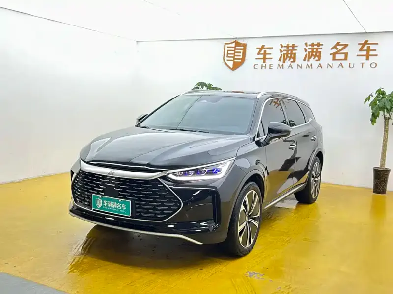 BYD Tang New Energy, 2024