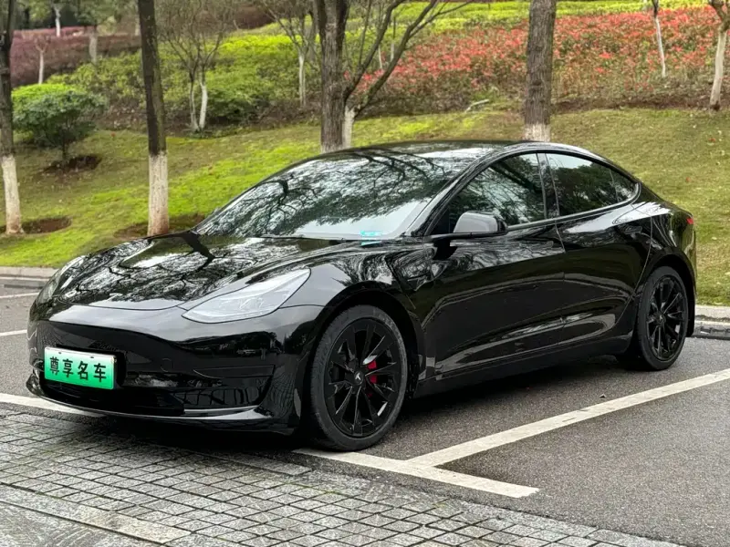 Tesla Model 3, 2023