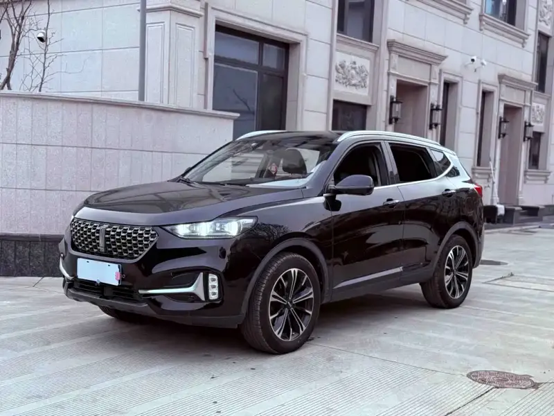 Wey VV6, 2020