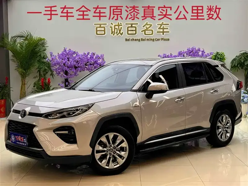 Toyota Wildlander, 2021