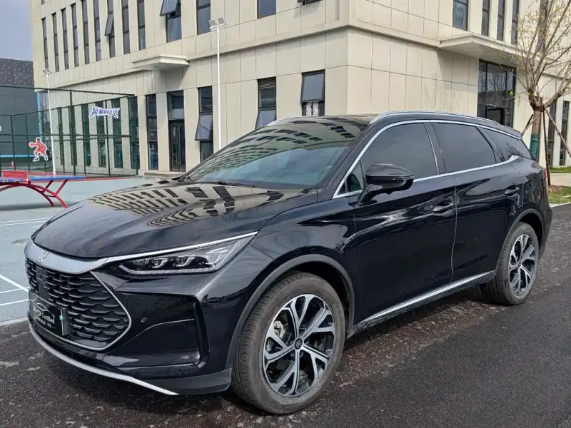 BYD Tang New Energy, 2024