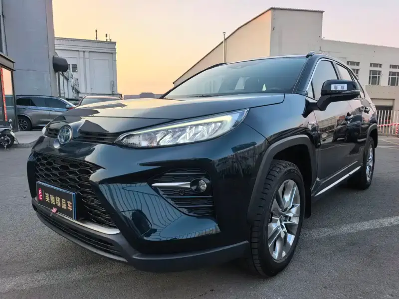 Toyota Wildlander, 2020