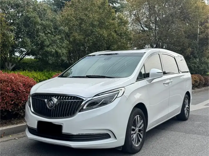 Buick GL8, 2019
