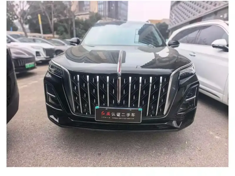 Hongqi HS5, 2024