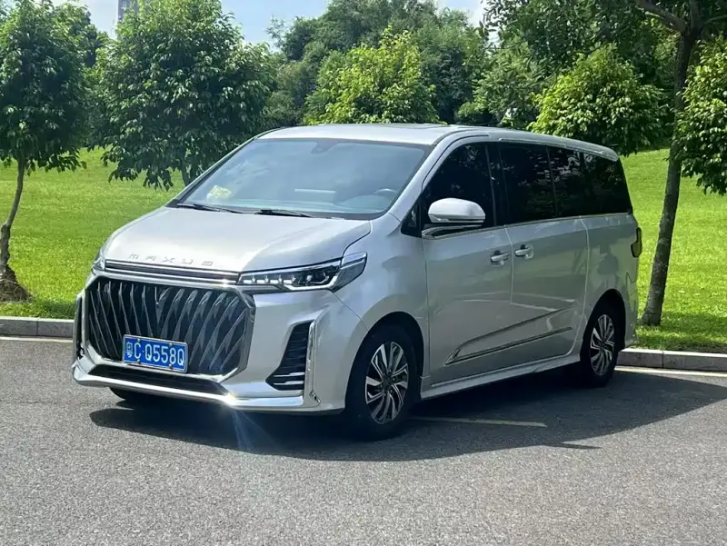 Maxus G20, 2023
