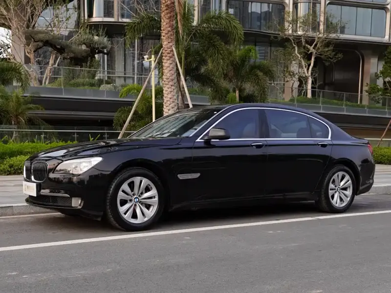 BMW 7 Series, 2010