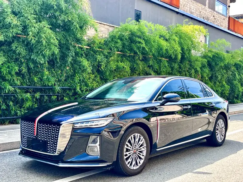 Hongqi H5, 2024