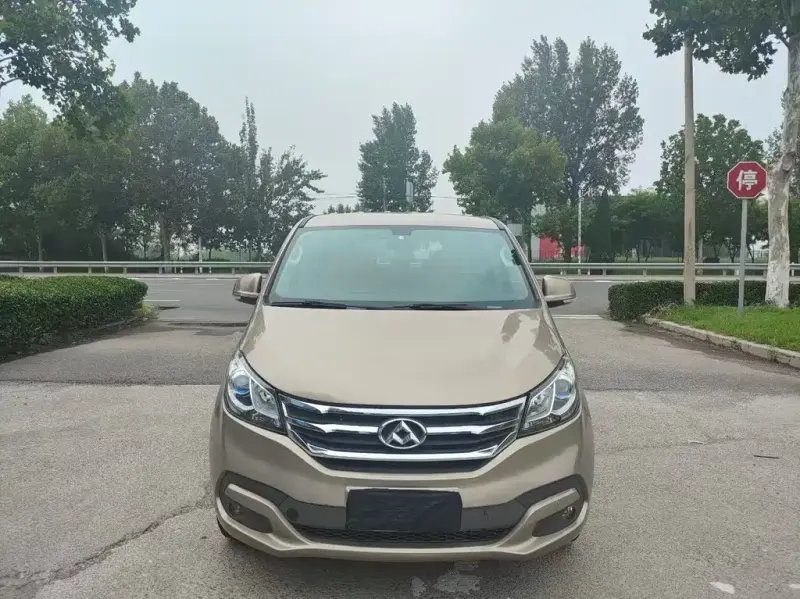 Maxus G10, 2017