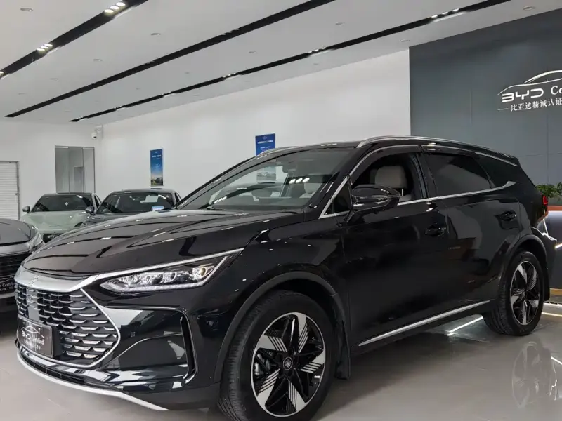 BYD Tang New Energy, 2024