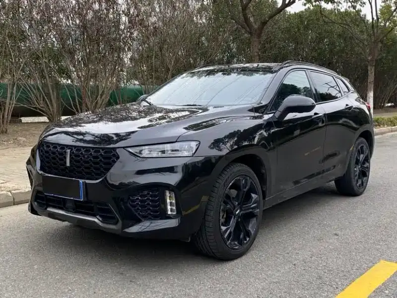 Wey VV7, 2018