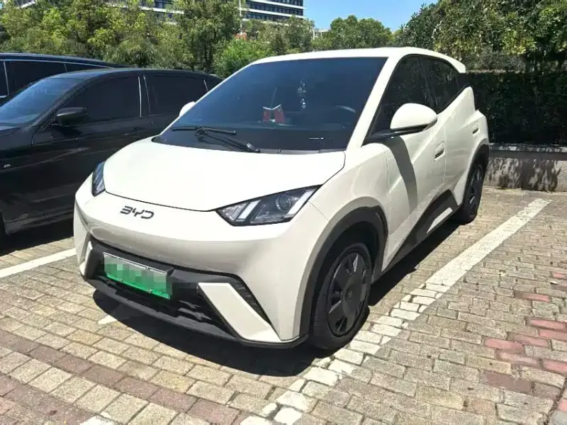 BYD Seagull, 2025