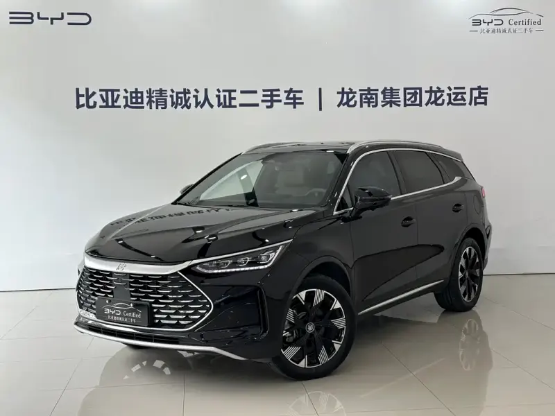 BYD Tang New Energy, 2024