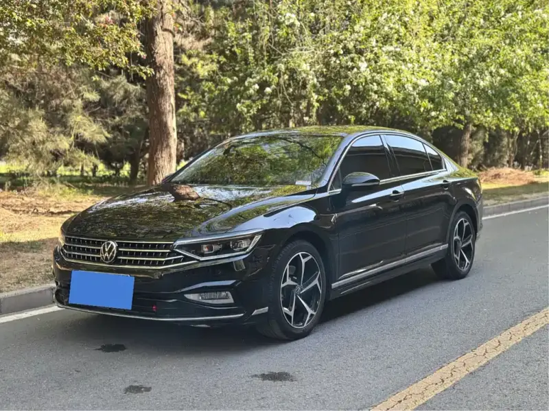 Volkswagen Magotan, 2024