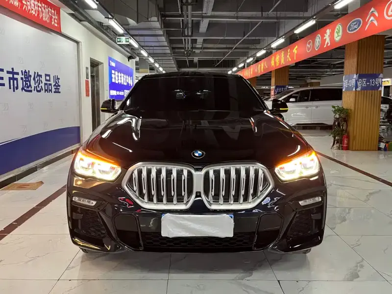 BMW X6, 2021