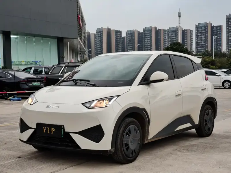 BYD Seagull, 2025