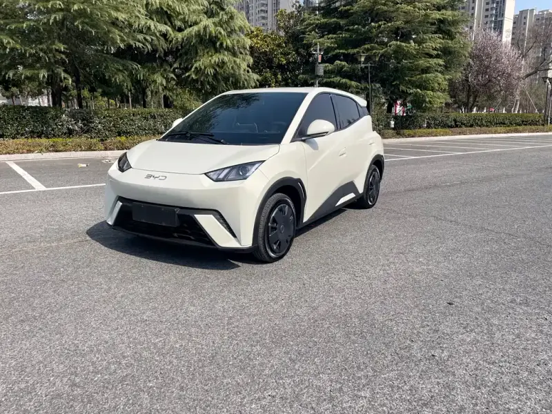BYD Seagull, 2025