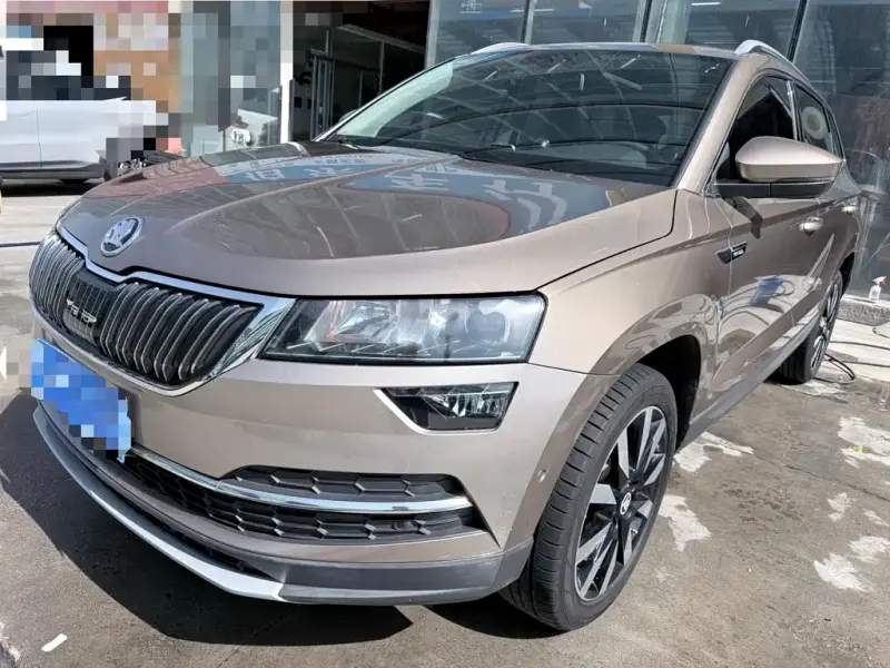 Skoda Karoq, 2020