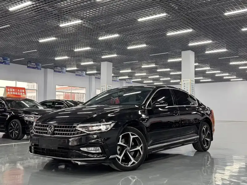 Volkswagen Magotan, 2024