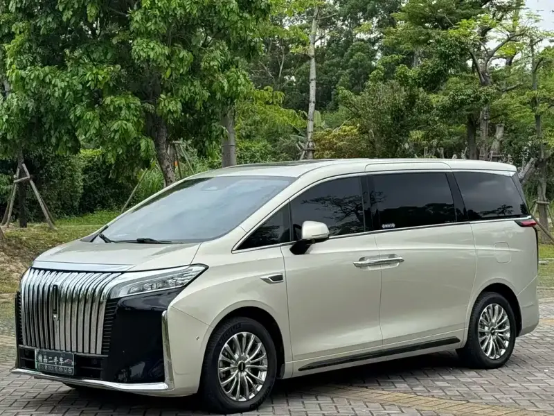 Wey Gaoshan, 2024