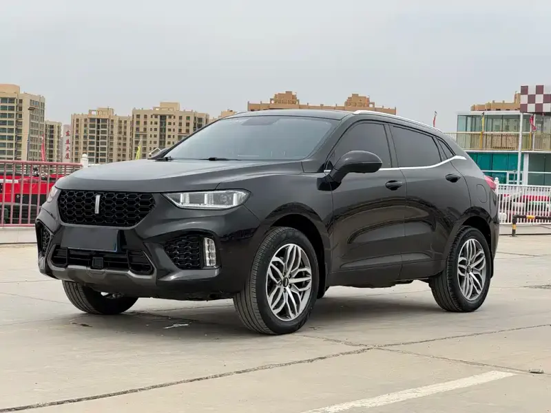 Wey VV5, 2019