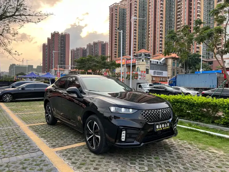 Wey VV7 GT, 2021