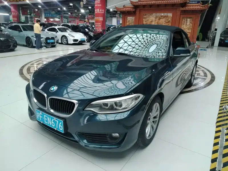 BMW 2 Series (Import), 2017