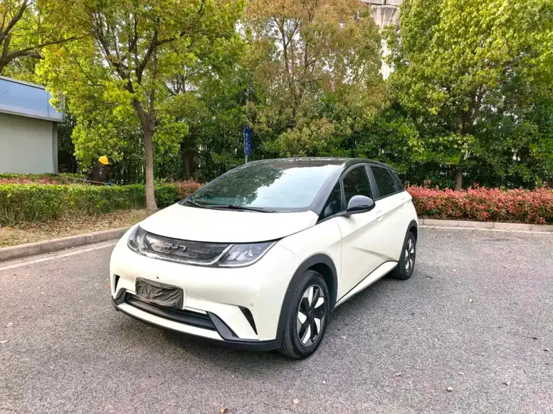 BYD Dolphin, 2024