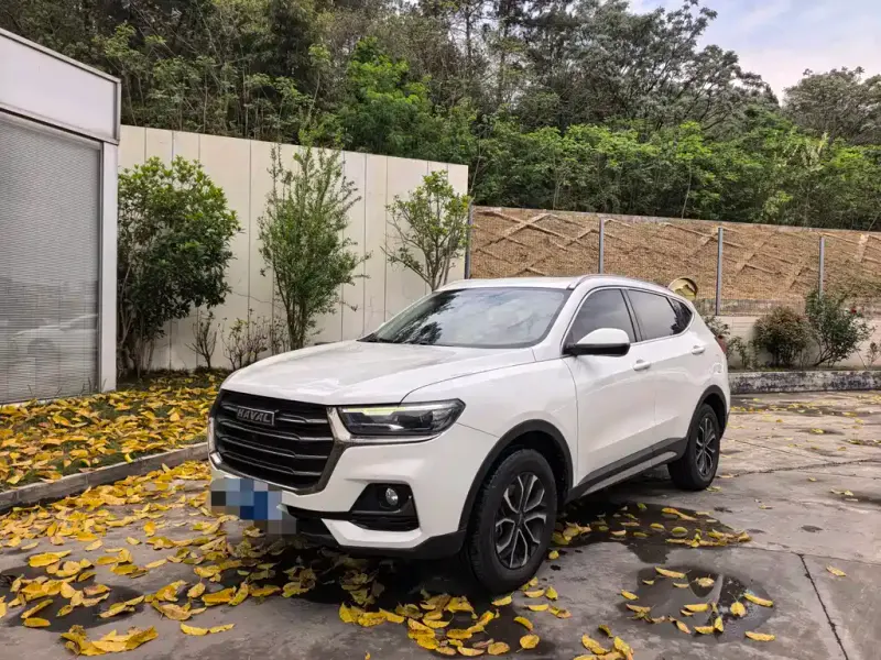 Haval H6, 2022