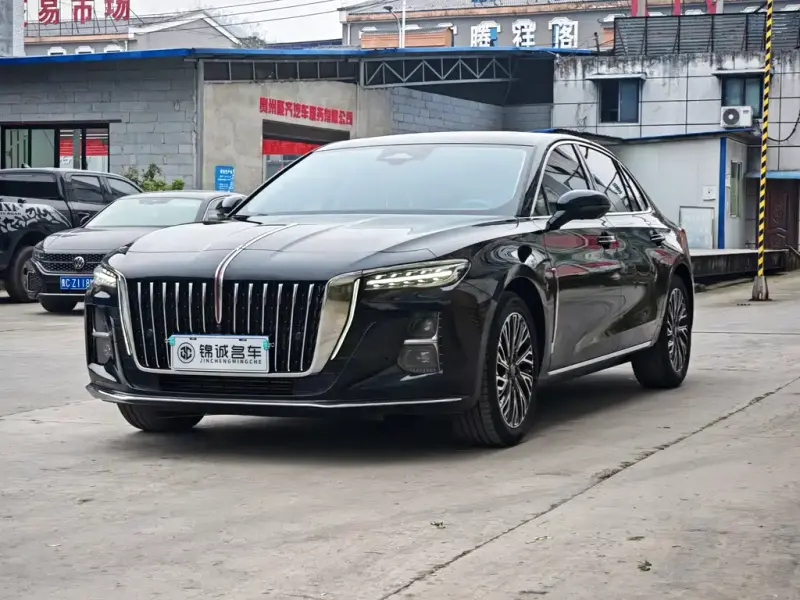 Hongqi H5, 2024