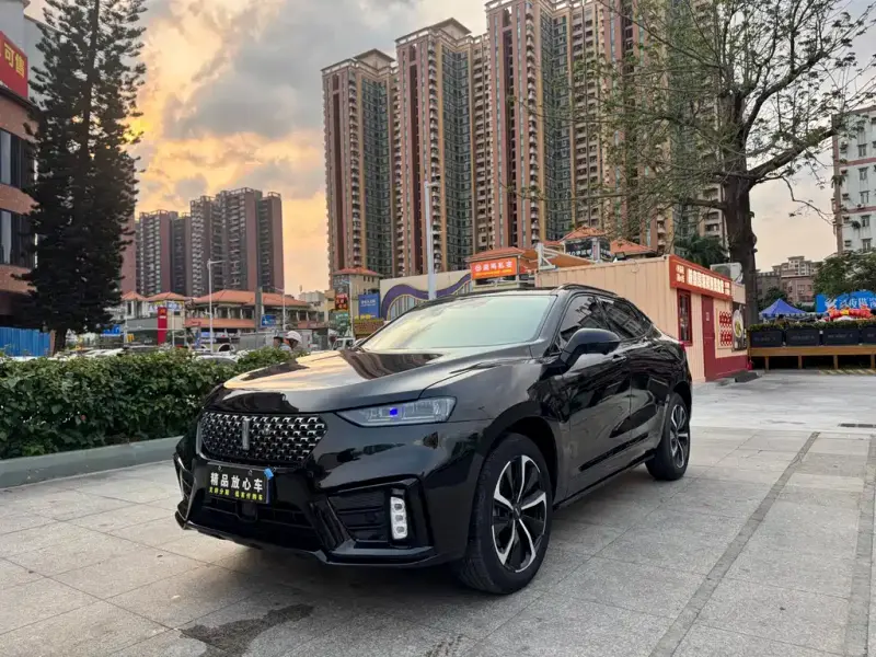 Wey VV7 GT, 2021