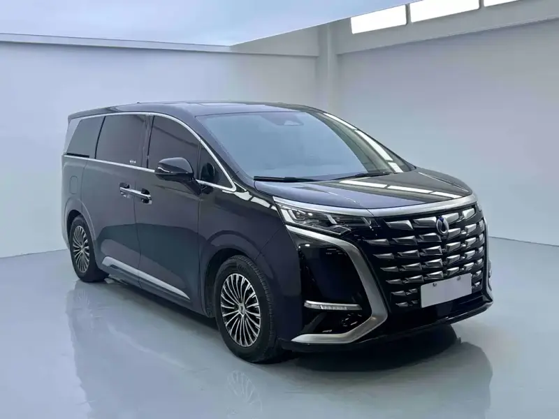 Denza D9, 2023