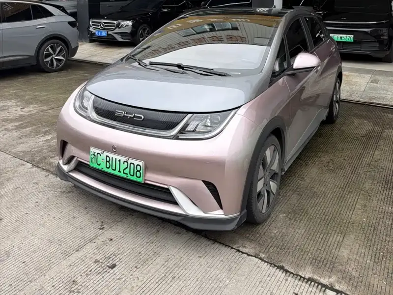 BYD Dolphin, 2022